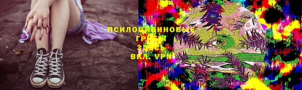 PSILOCYBIN Саяногорск